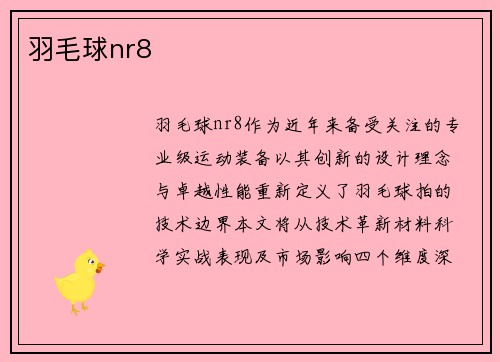 羽毛球nr8