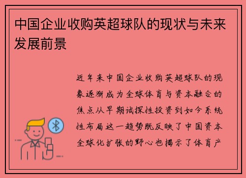 中国企业收购英超球队的现状与未来发展前景